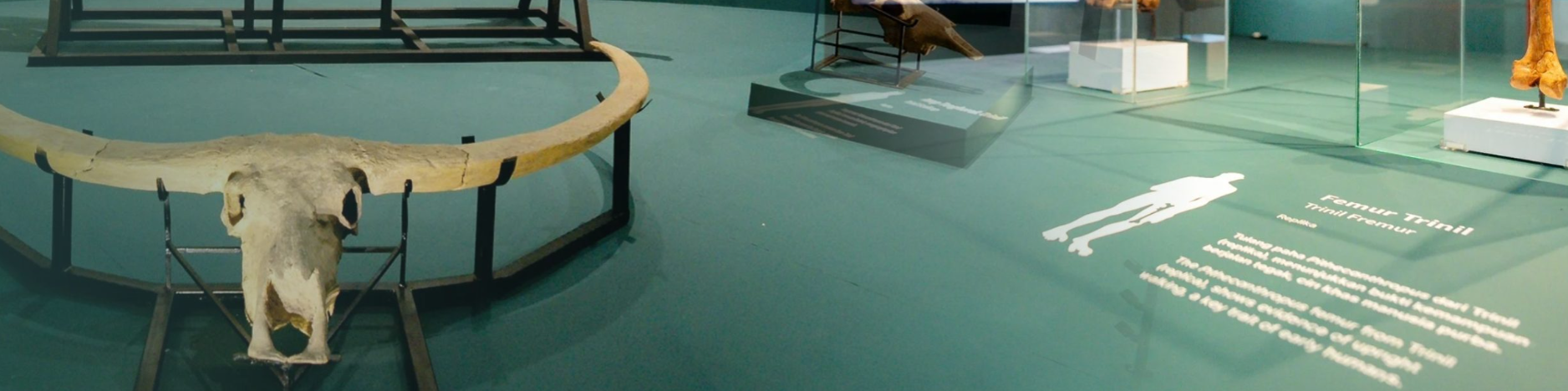 MUSEUM Adityawarman>